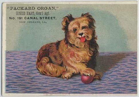 Dog New Orleans Trade Card